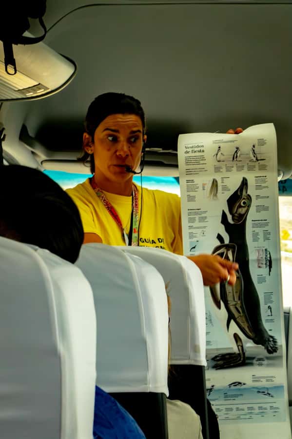 Puerto Madryn: Punta Tombo Walking Among Penguins Experience - Quick hits to know before you go