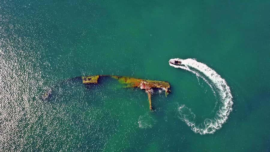 Puerto Madryn: Snorkeling Trip with Sea Lions - Key moments that make this Puerto Madryn tour work
