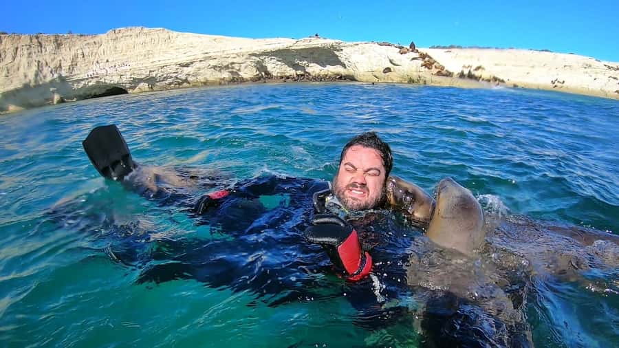 Puerto Madryn: Snorkeling Trip with Sea Lions - Practical tips so your sea lion swim goes smoothly