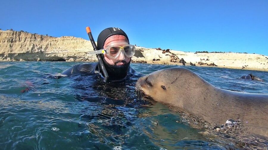 Puerto Madryn: Snorkeling Trip with Sea Lions - Parana Beach Spanish shipwreck stop, and why it adds meaning