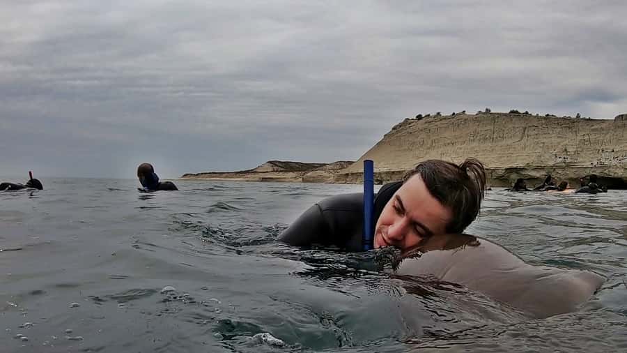 Puerto Madryn: Snorkeling Trip with Sea Lions - Snorkeling with sea lions: what you’ll do and how to act
