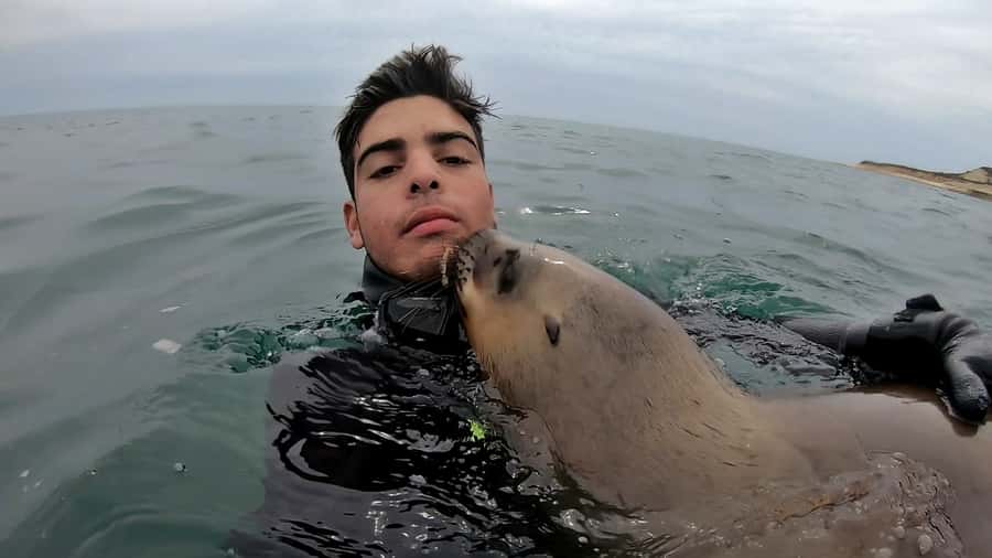Puerto Madryn: Snorkeling Trip with Sea Lions - Price and value: what $150 buys you in real terms