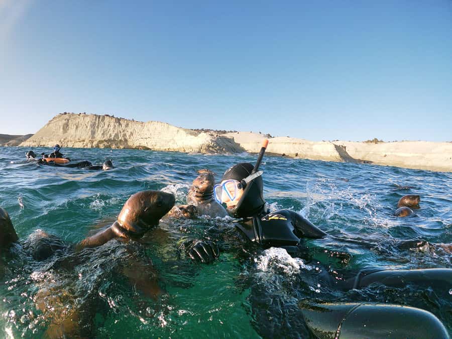 PUERTO MADRYN , SNORKELING WITH SEA LIONS - Punta Loma’s Protected Waters: Why This Trip Feels Different