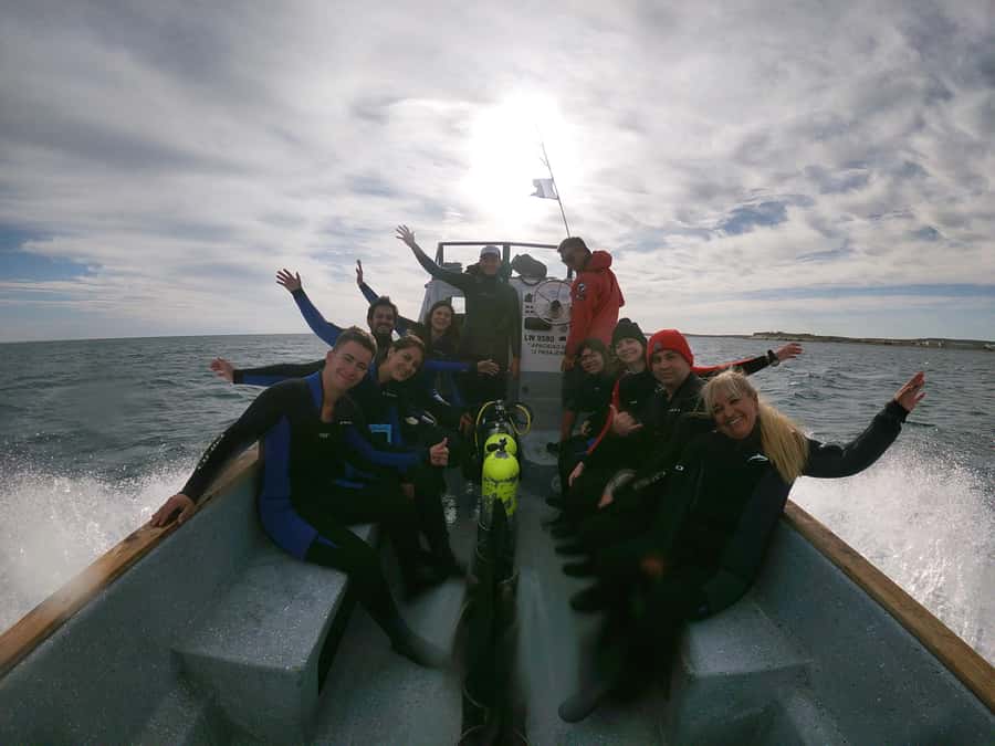 PUERTO MADRYN , SNORKELING WITH SEA LIONS - Gear Setup: Wetsuit, Snorkel Equipment, and How It Feels