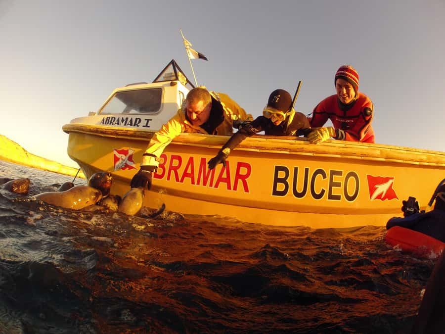 PUERTO MADRYN , SNORKELING WITH SEA LIONS - The 3-Hour Flow: Briefing, Boat Ride, and Time in the Water