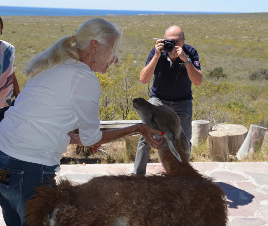Punta Loma + Ranch Shore Excursion for cruise passengers - Key things I’d bank on before you go