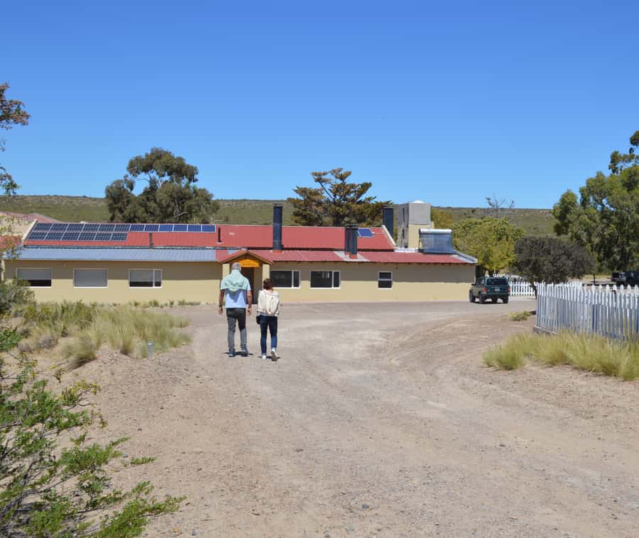 Punta Loma + Ranch Shore Excursion for cruise passengers - San Guillermo Ranch in Chubut: a quick cultural switch
