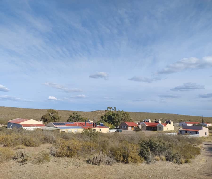 Punta Loma + Ranch Shore Excursion for cruise passengers - Price and value for a 4-hour cruise day
