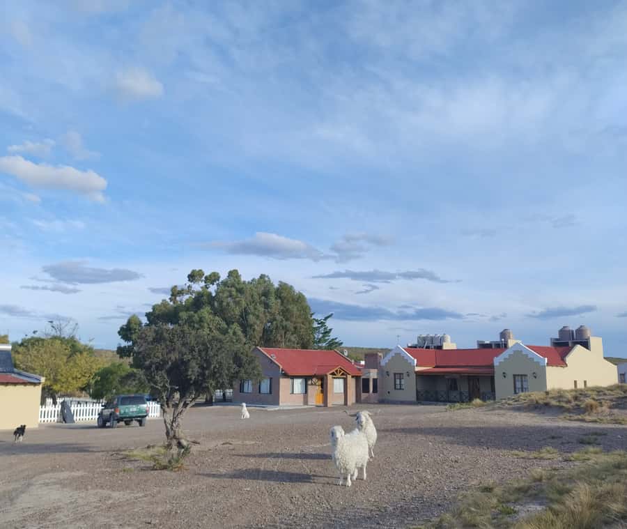 Punta Loma + Ranch Shore Excursion for cruise passengers - What the best days feel like, based on real guidance