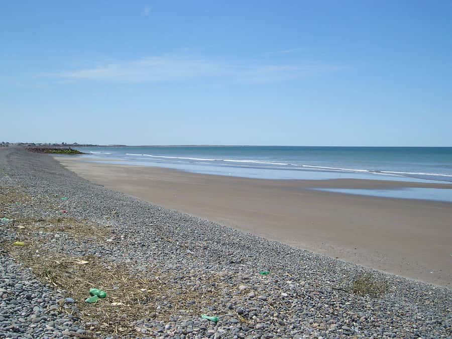 Punta Tombo Penguin Tour & Optional Tonina Watching - Bird time at Puerto Rawson, Union Beach: before the penguins