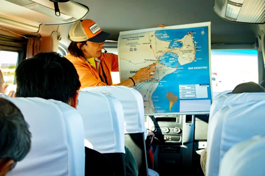 Punta Tombo Shore Excursion for Cruise Passengers + City - The return drive and the Puerto Madryn city add-on