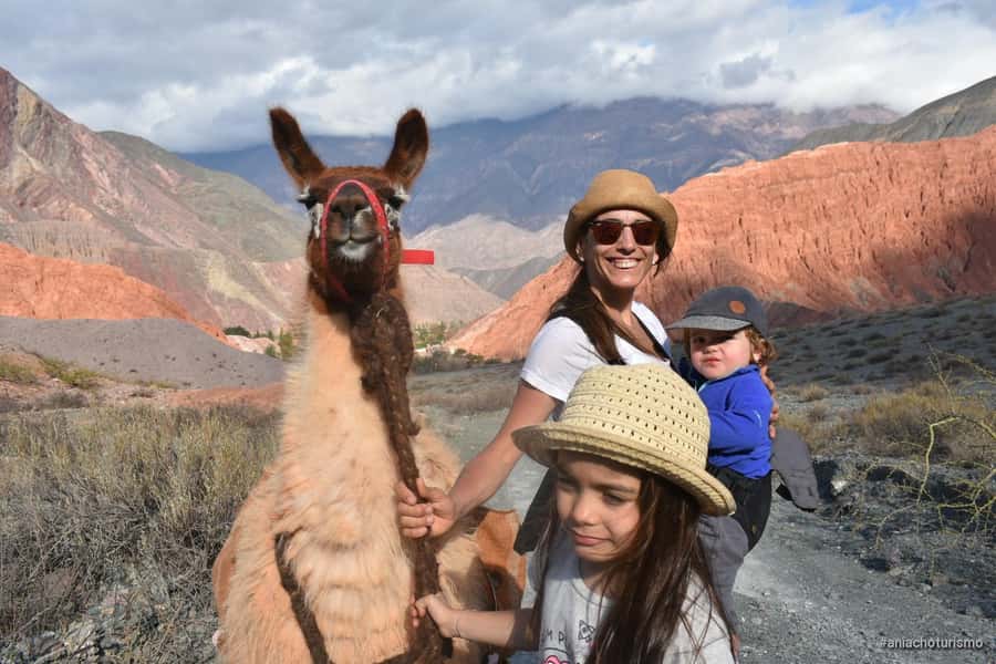 Purmamarca: Hiking with Llamas through multicolored mountains - First contact: how llama handling works (and what you should expect)
