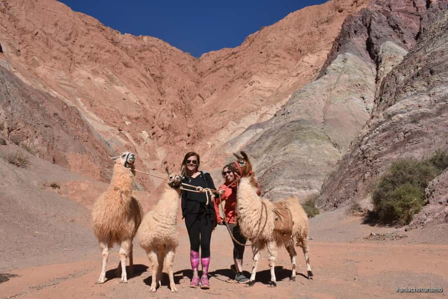 Purmamarca: Hiking with Llamas through multicolored mountains - Route length, walking pace, and who this fits best