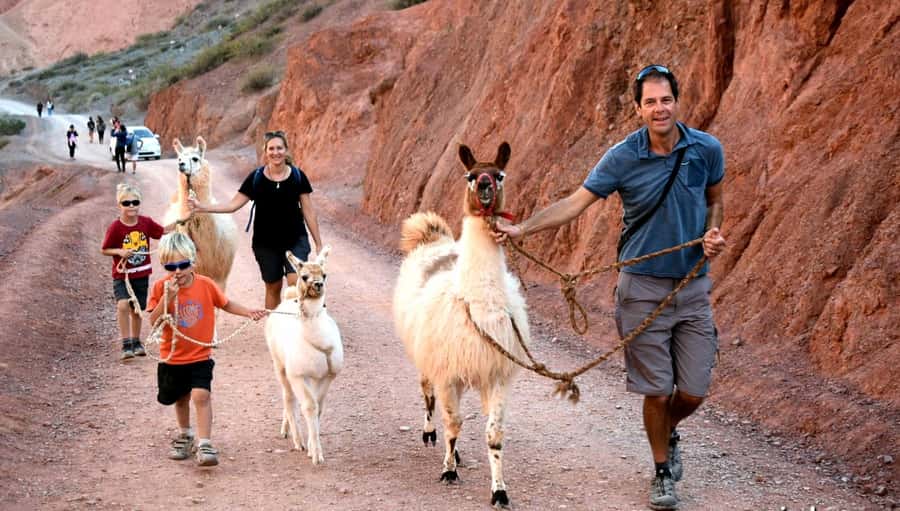 Purmamarca: Hiking with Llamas through multicolored mountains - The small-group advantage: comfort, photos, and guide attention