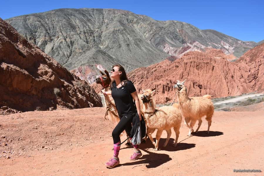 Purmamarca: Hiking with Llamas through multicolored mountains - Practical expectations: photos, silence, and a calmer kind of adventure