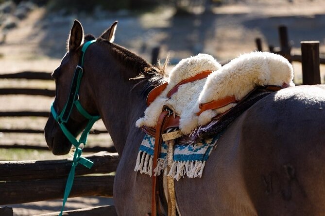 Ride Experience - Canyons & Mounts - Estancia 25 de Mayo: where your ride really begins