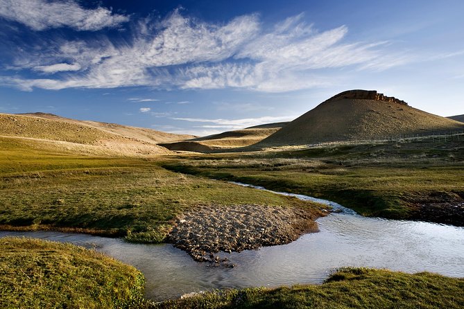 SAFARI EXPERIENCE - WILDLIFE & STEPPE - 4x4 in Deep Patagonia: Why the Drive Matters