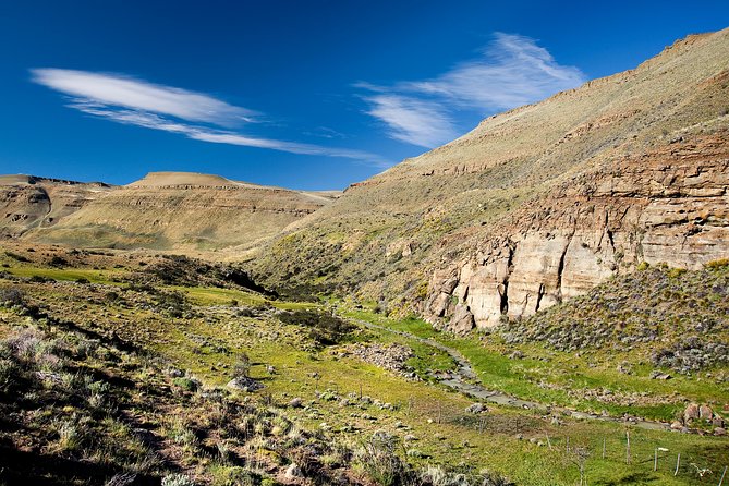 SAFARI EXPERIENCE - WILDLIFE & STEPPE - Wildlife Watching and the “Creature Search” Feeling