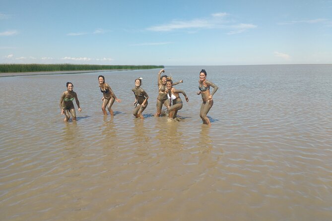 Safari náutico en tigre - Why the Tigre Delta Safari Feels More Personal Than a Typical Cruise