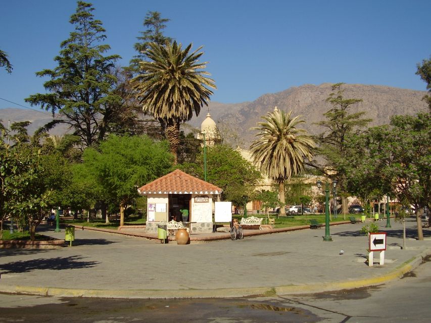 Salta: 2-Day Tour to Cafayate - Who This Tour Fits Best (And Who Should Skip)