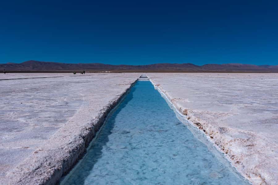 Salta: Cafayate, Cachi, and Salinas Grandes Guided Day Trips - Cafayate wine country, Ruta 68 viewpoints, and the House of the Parrots