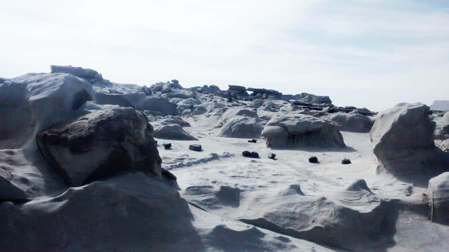 San Juan: Ischigualasto National Park - Moon Valley - Who This Tour Suits Best