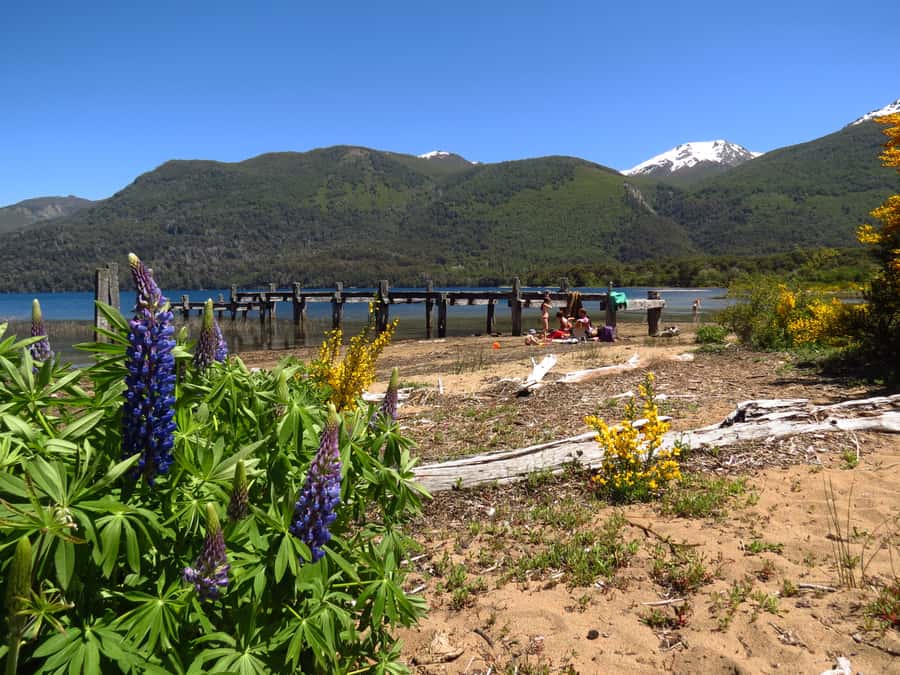 San Martín de los Andes por 7 Lagos - Key Things You Will Notice on This Tour