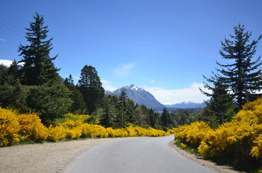 San Martín de los Andes por 7 Lagos - The Quick Scenic Start: Dina Huapi and the Limay River Bridge
