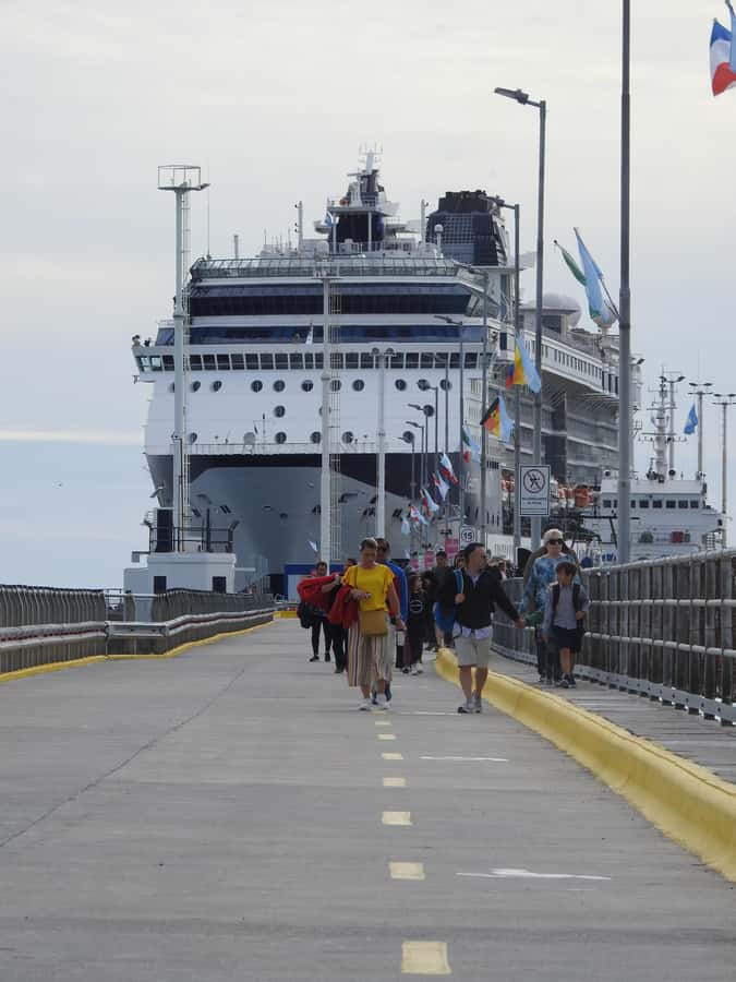 Shore Tours Peninsula Valdes Puerto Madryn Cruise Passengers - Key things that make this tour work