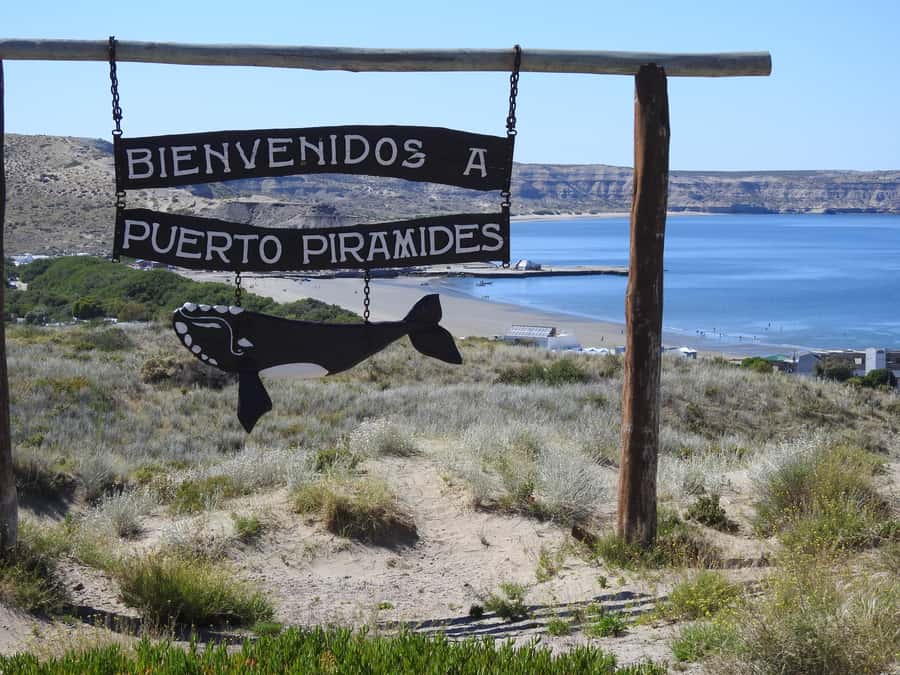 Shore Tours Peninsula Valdes Puerto Madryn Cruise Passengers - Dock-gate pick-up at Comandante Luis Piedra Buena Pier, with name-sign clarity