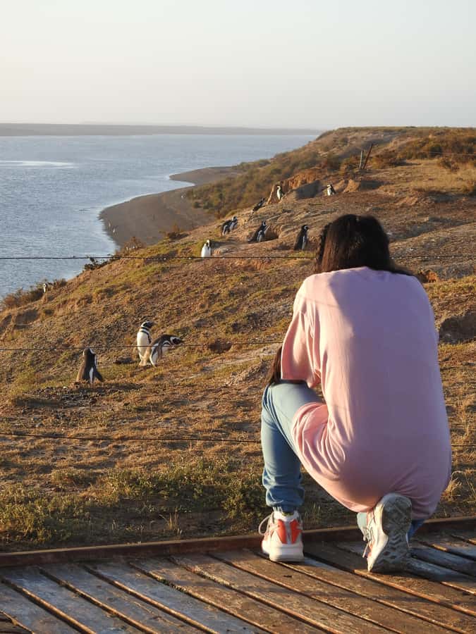 Shore Tours Peninsula Valdes Puerto Madryn Cruise Passengers - Puerto Pirámides: your last guided stretch and how to end strong