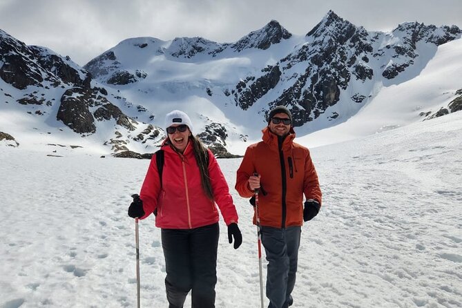 Small group Trekking to Vinciguerra Glacier and Témpanos Lagoon - Key highlights worth planning for
