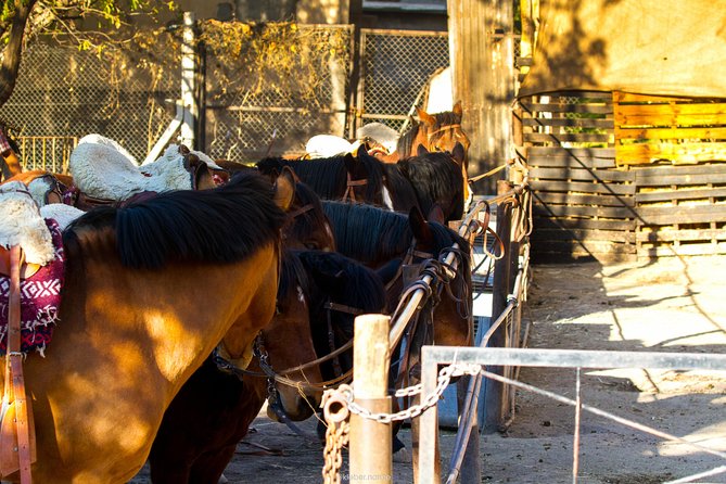 Sunset Horseback Riding - Key things to know before you ride