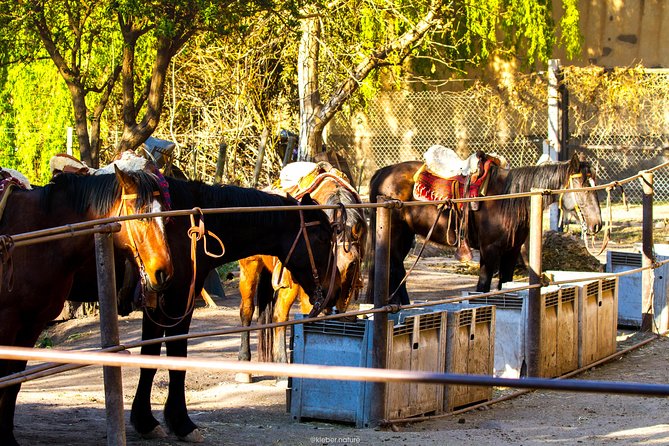 Sunset Horseback Riding - Getting from Mendoza City to Lunlunta, about 40 minutes south