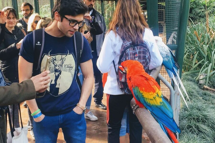 Temaiken Biopark Entry Tickets - Price and value: is $33 for Temaiken tickets a fair deal?