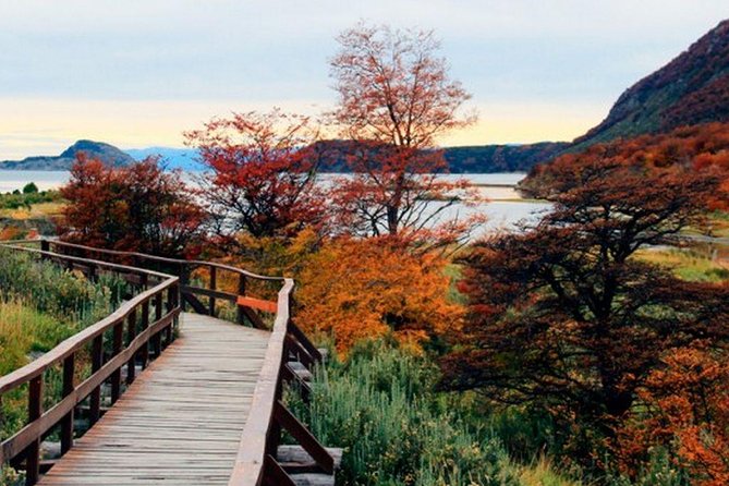 Tierra del Fuego National Park - Lago Roca (Acigami): a short, quiet pause that balances the day