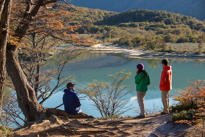 Tierra del Fuego National Park Private Tour - Stop 1, Bahia Ensenada Zaratiegui: Beagle Channel views with a winter caveat