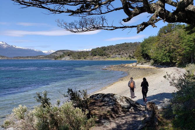 Tierra del Fuego National Park Private Tour - Stop 3, Lago Roca: glacial lake views and the break you’ll remember