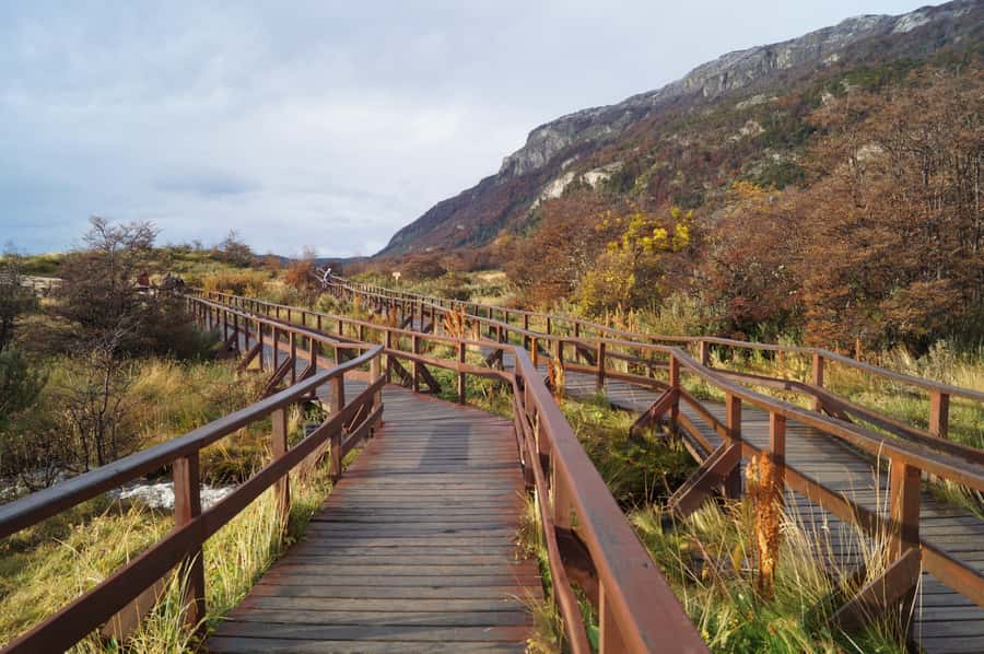 Tierra del Fuego National Park: Small Group Tour with Lunch - What to bring (and what to leave behind) for a smoother half day
