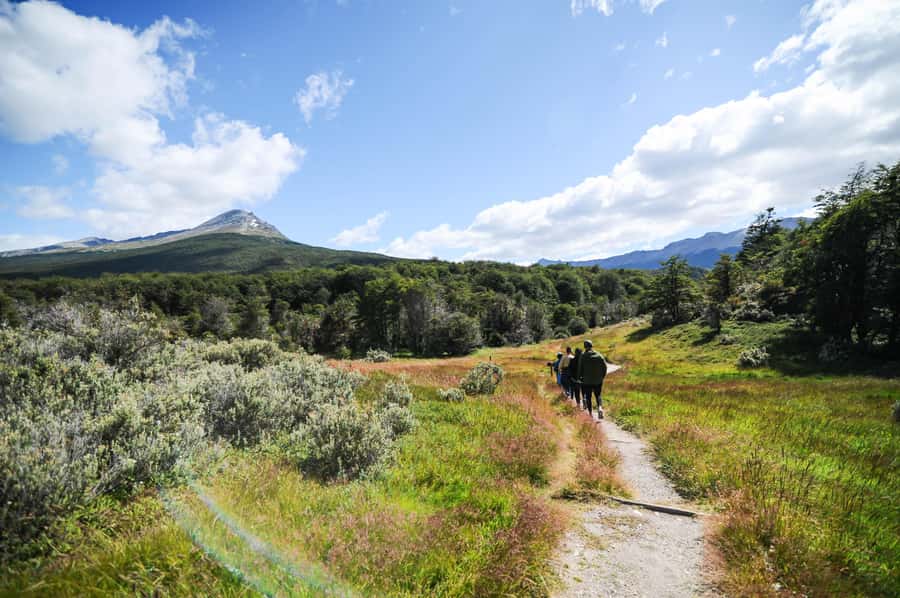 Tierra del Fuego National Park: Small Group Tour with Lunch - Price and value: is $158 per person a good deal?