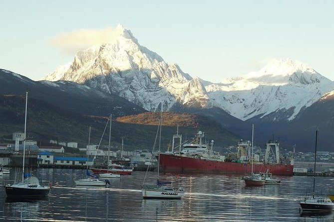 Tierra del Fuego National Park, Ushuaia City Tour Shore Excursion - Comfort, walking, and weather: how to set yourself up