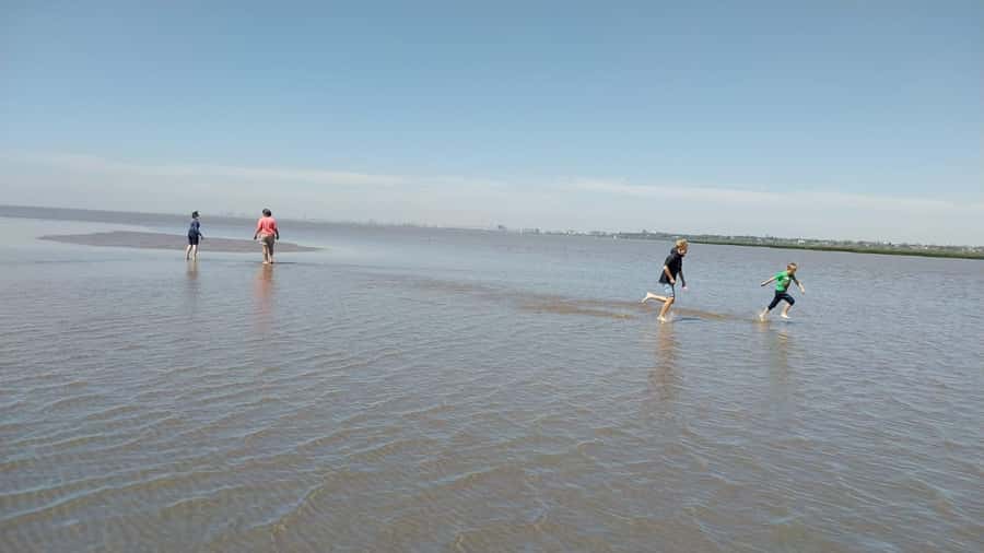 Tigre: Safari Náutico en Tigre/ Biosphere Reserve Boat Tour - Puerto de Frutos arts and crafts: a cultural stop that makes sense