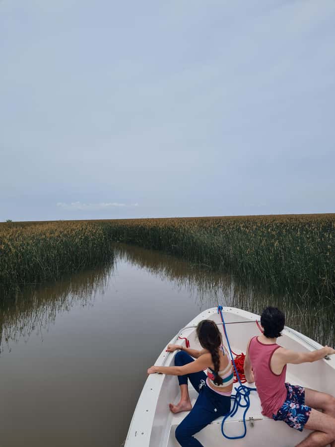 Tigre: Safari Náutico en Tigre/ Biosphere Reserve Boat Tour - Why Tigre’s Delta feels like a different side of Buenos Aires