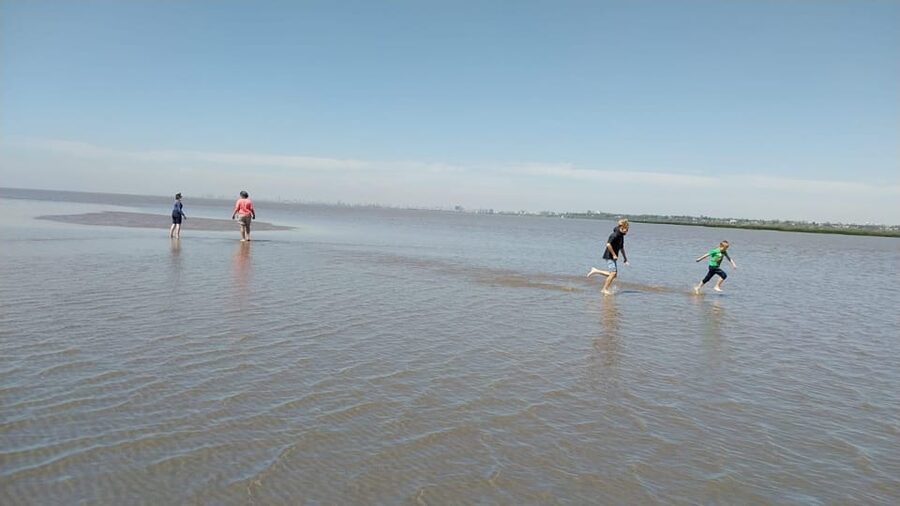 Tigre: Safari Náutico en Tigre/ Biosphere Reserve Boat Tour - Watching wetlands at the Observatorio de humedales Delta