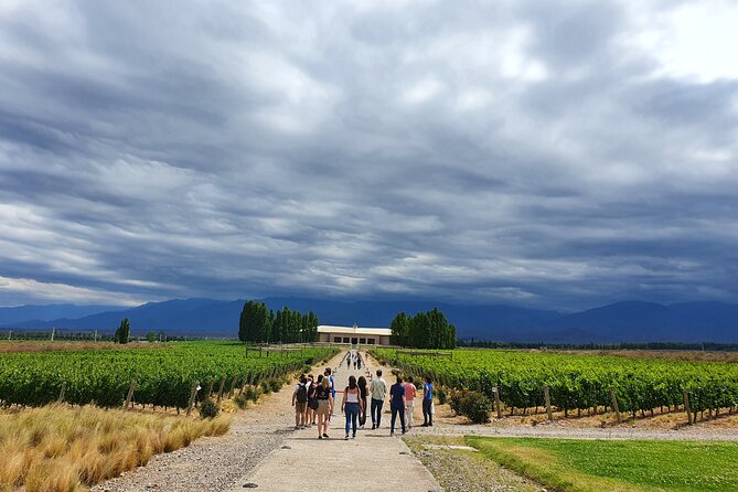 Top Rated: Winery Tour with Lunch in Mendoza - Why This Mendoza Wine Day Works in Real Life