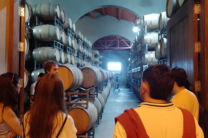 Top Rated: Winery Tour with Lunch in Mendoza - How the Day Feels: Timing, Taste Volume, and Staying Comfortable