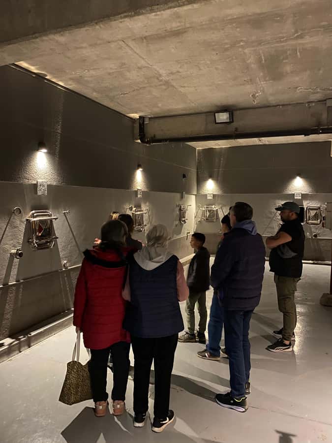 Tour of 3 wineries in Maipú with lunch + olive groves - Key Things to Know Before You Go