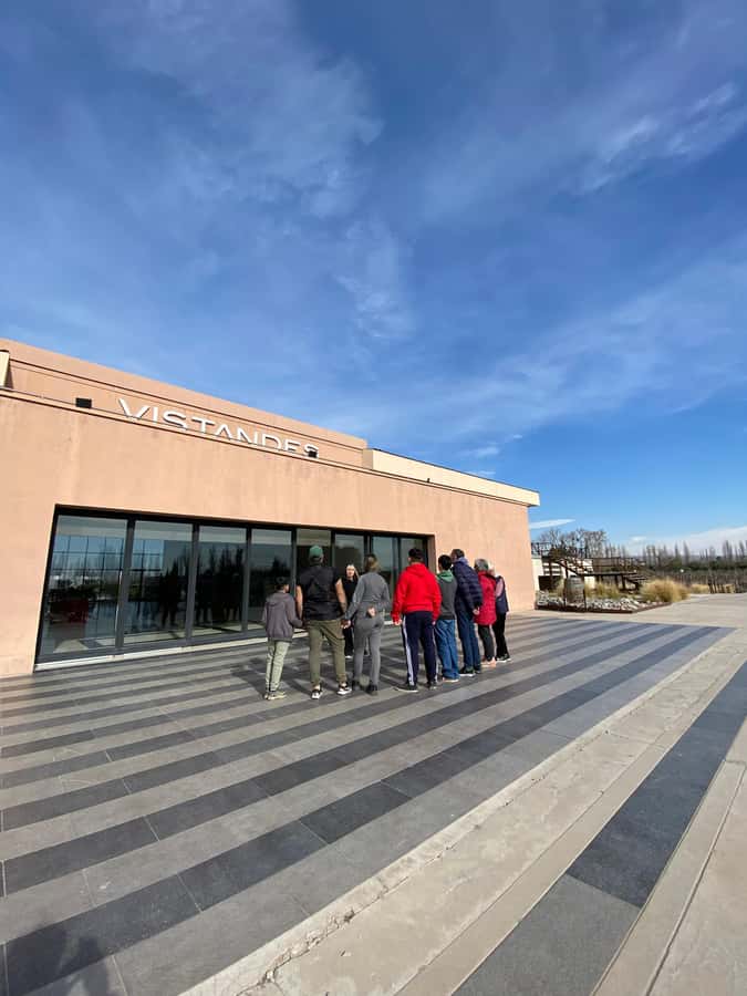 Tour of 3 wineries in Maipú with lunch + olive groves - A 7-Hour Loop Through Maipú Winery Country