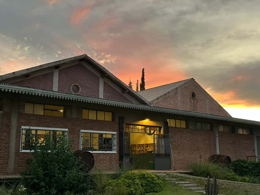 Tour of 3 wineries in Maipú with lunch + olive groves - Two 1-Hour Winery Stops With Guided Tastings