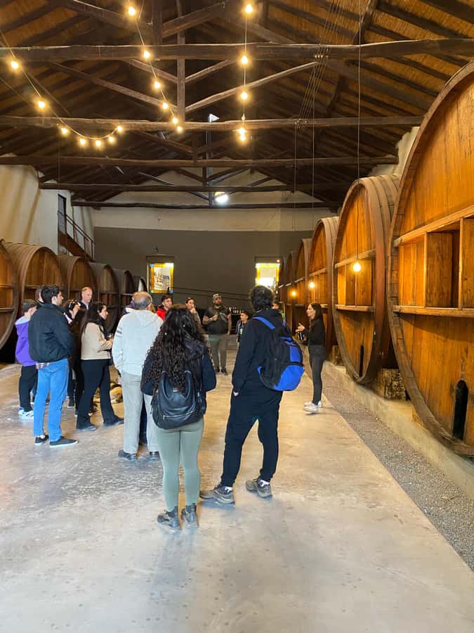 Tour of 3 wineries in Maipú with lunch + olive groves - The Olive-Grove Countryside Moment Between Stops